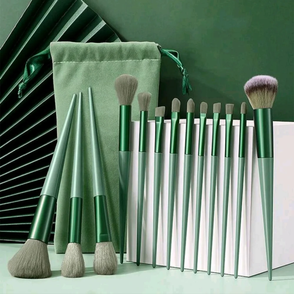 Makeup Brush Set NWT